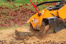 Lawn Maintenance Plans in Palm Desert, CA