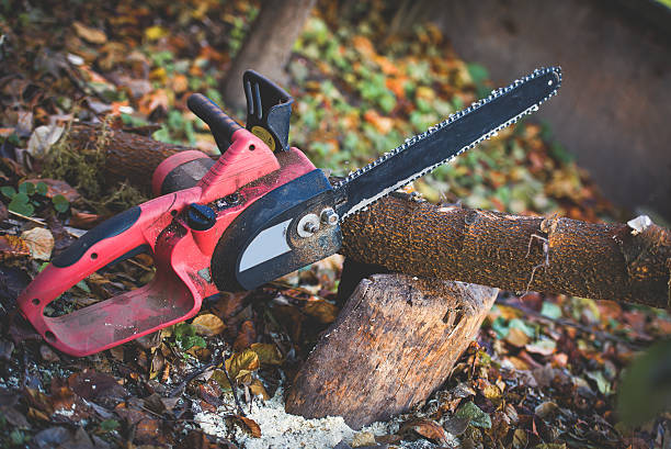 Best Emergency Tree Removal  in Palm Desert, CA